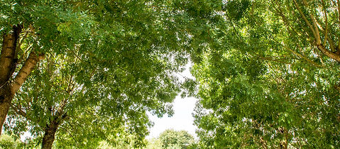 Fourgon aménagé Hanroad Cross