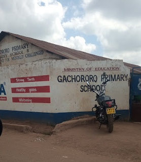 Gachororo Primary School