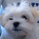 Everest187 profile picture