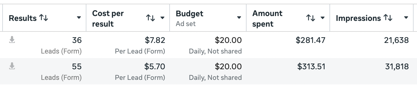 Cost per lead screenshot