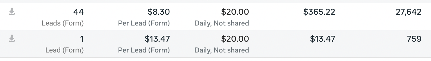 Campaign breakdown: 44 + 1 leads across two ads