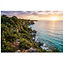 Jamaica