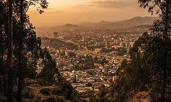 Addis Coffee Route