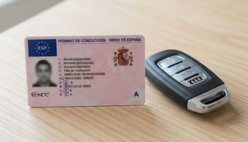Canje de permisos de conducir
