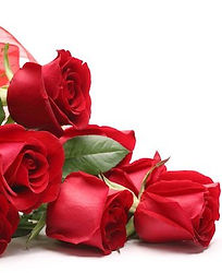 Arrangement de fleurs et de végétaux