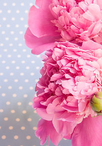Pivoines roses et feuillage disposés sur du bois clair