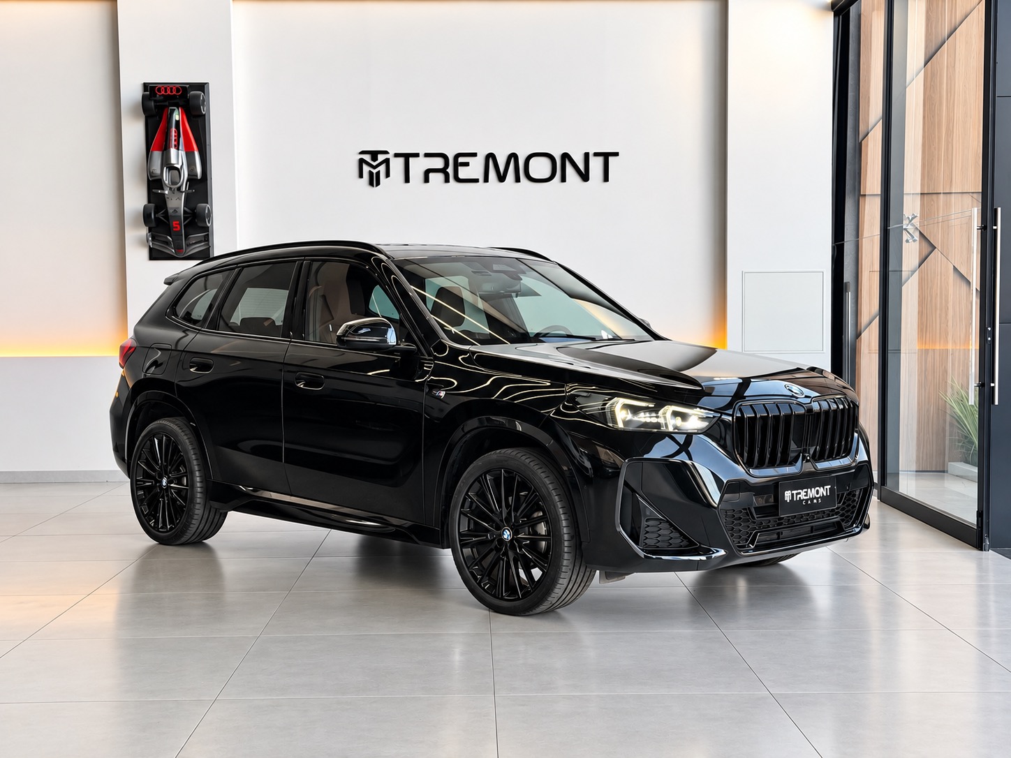 BMW X1 PRETO