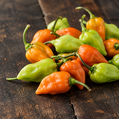 Pimenta de cheiro