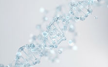 Research Peptides