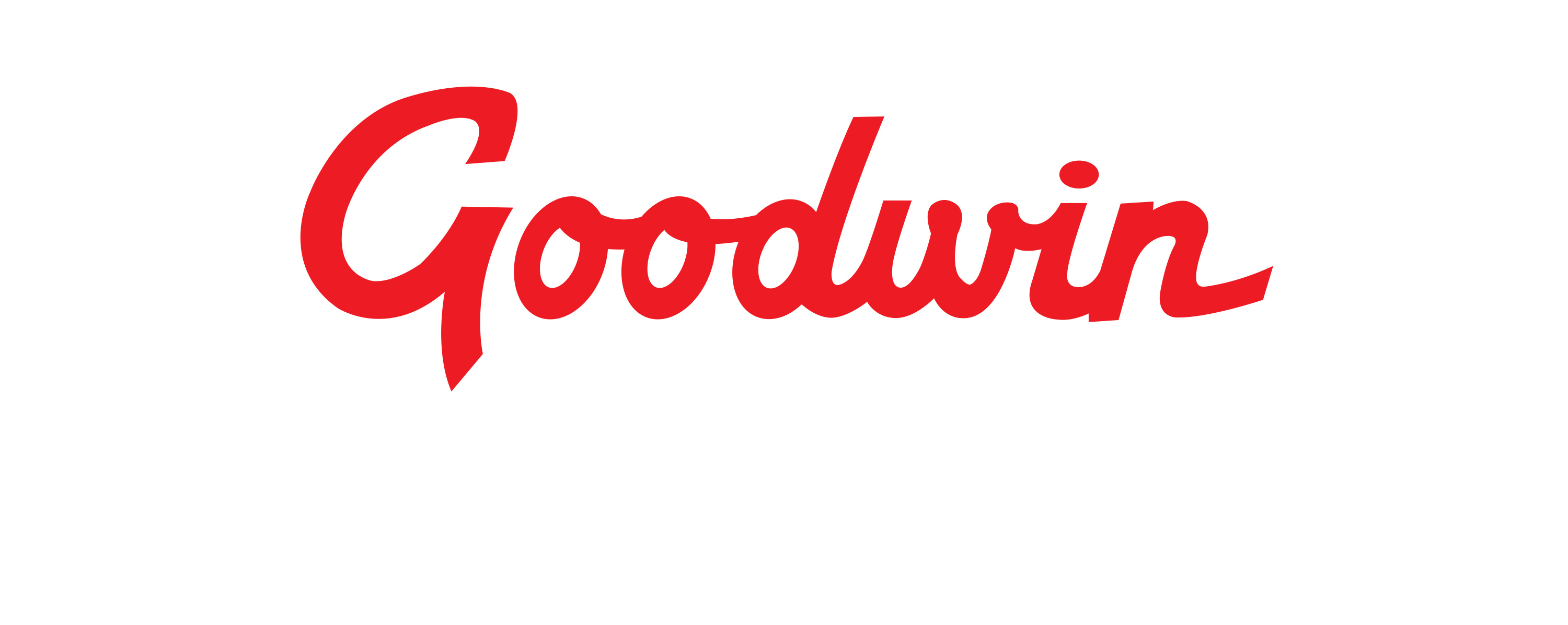 Goodwin