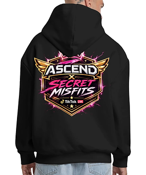 Secret Misfits Heavy Hoodie