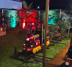 Safari Express Kindereisenbahn bei Nacht – Bild 11