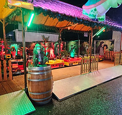 Safari Express Kindereisenbahn bei Nacht – Bild 9