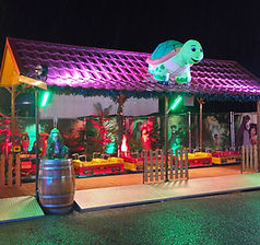 Safari Express Kindereisenbahn bei Nacht – Bild 10