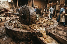 A traditional stone tahona wheel crushing cooked agave in a rustic distillery