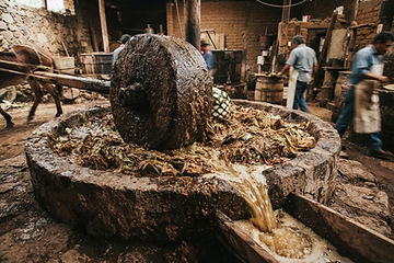 A traditional stone tahona wheel crushing cooked agave in a rustic distillery