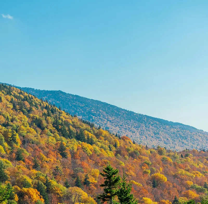 Autumn foliage across a forested mountainside in Vermont