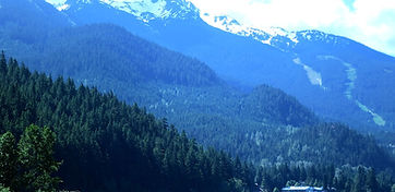 How Much Does Landscaping Cost in Whistler?