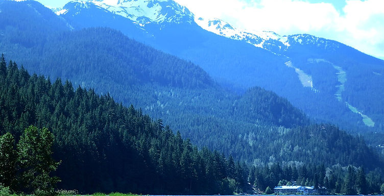 How Much Does Landscaping Cost in Whistler?