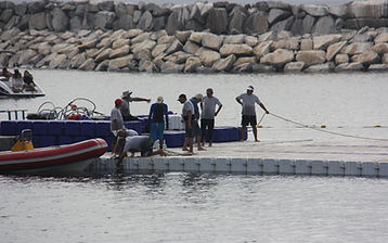 Regatas Plataforma Flotante — imagen 6