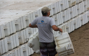Regatas Plataforma Flotante — imagen 5