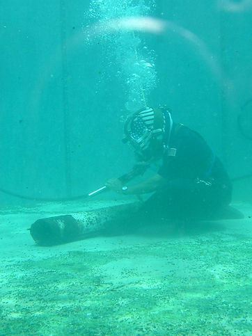 Trabajos Subacuáticos y Buceo Profesional