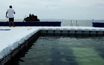 Regatas Plataforma Flotante — imagen 7