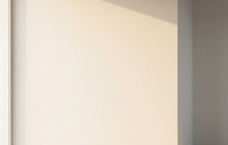 A perfectly smooth, freshly finished interior wall catching raking light