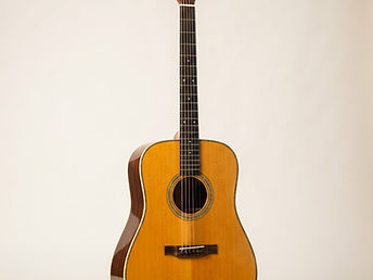 Acoustic guitar