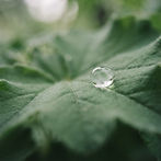 A small detail, held in focus