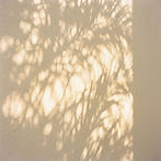 Step into a painted summer