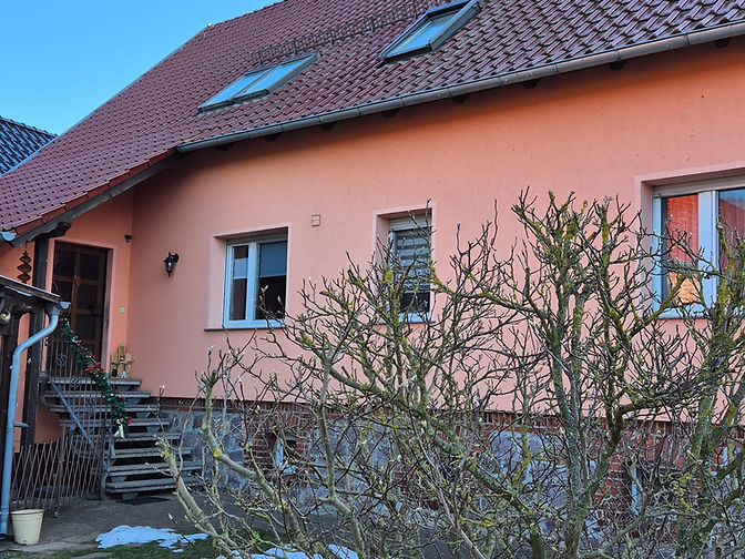 Steildach & Dachdeckung
