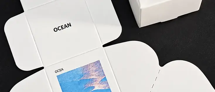 White printed paperboard folding cartons shown assembled and unfolded