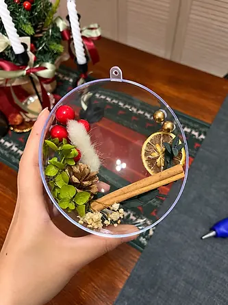Clear ornament with botanical filler and cinnamon sticks
