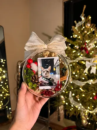 Clear spherical ornament with decorative contents and ribbon