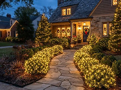 Bush & Shrub Lighting — holiday lighting design inspiration