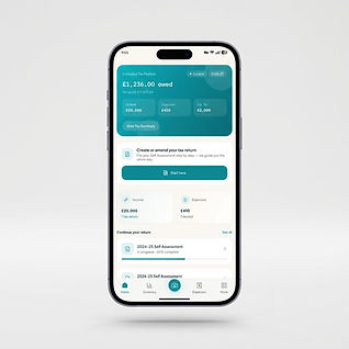 MyTaxFiling mobile app showing tax return progress and income sources