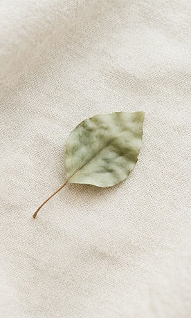 Une feuille posée sur un tissu de lin, dans une lumière douce