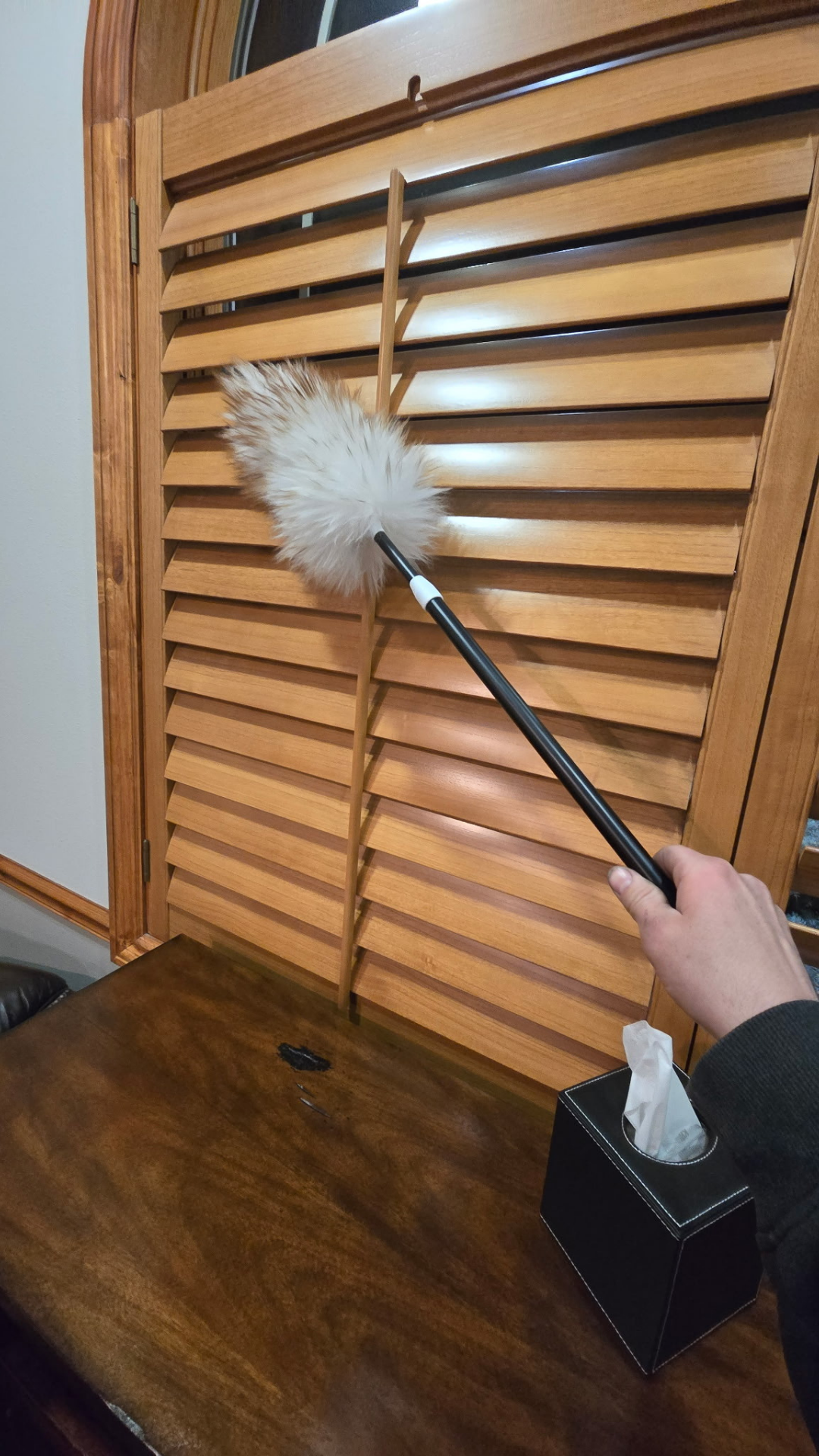 Hand dusting wooden window shutters with a feather duster