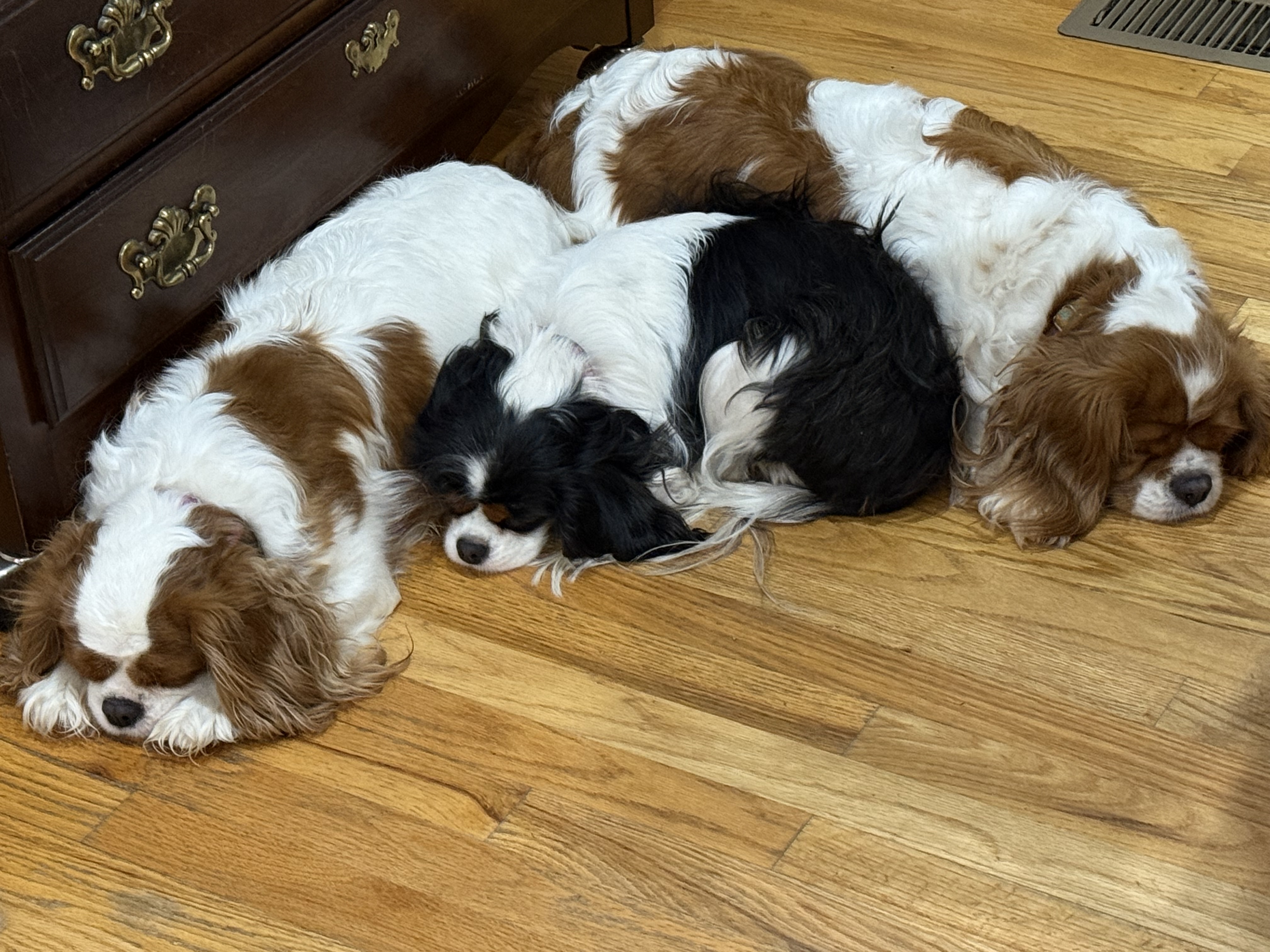 Naptime