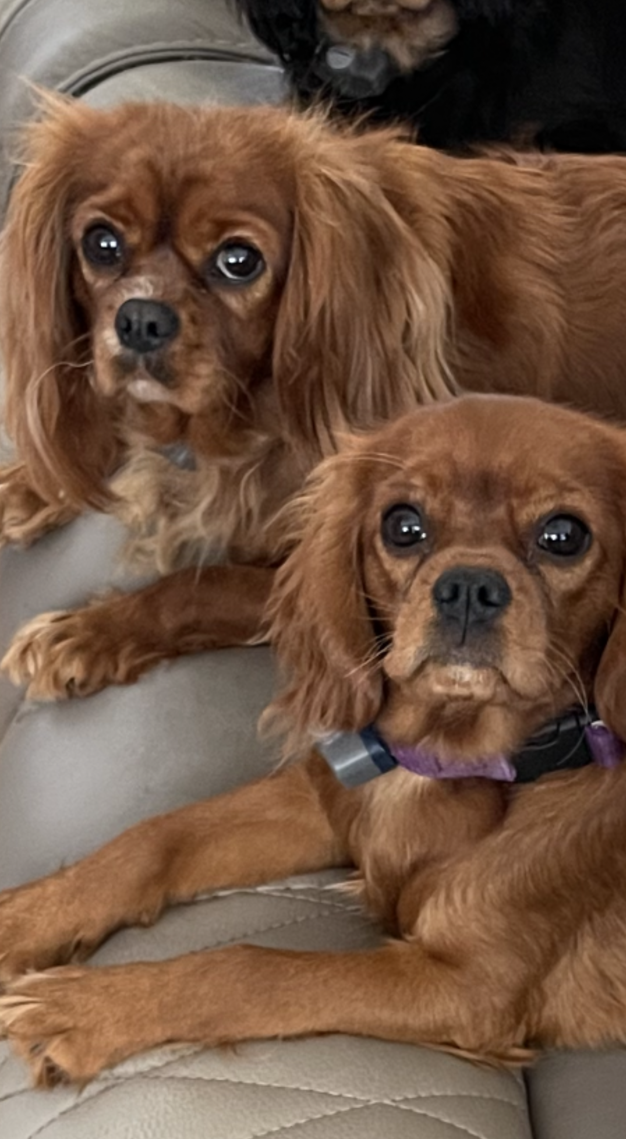 Mother and daughter