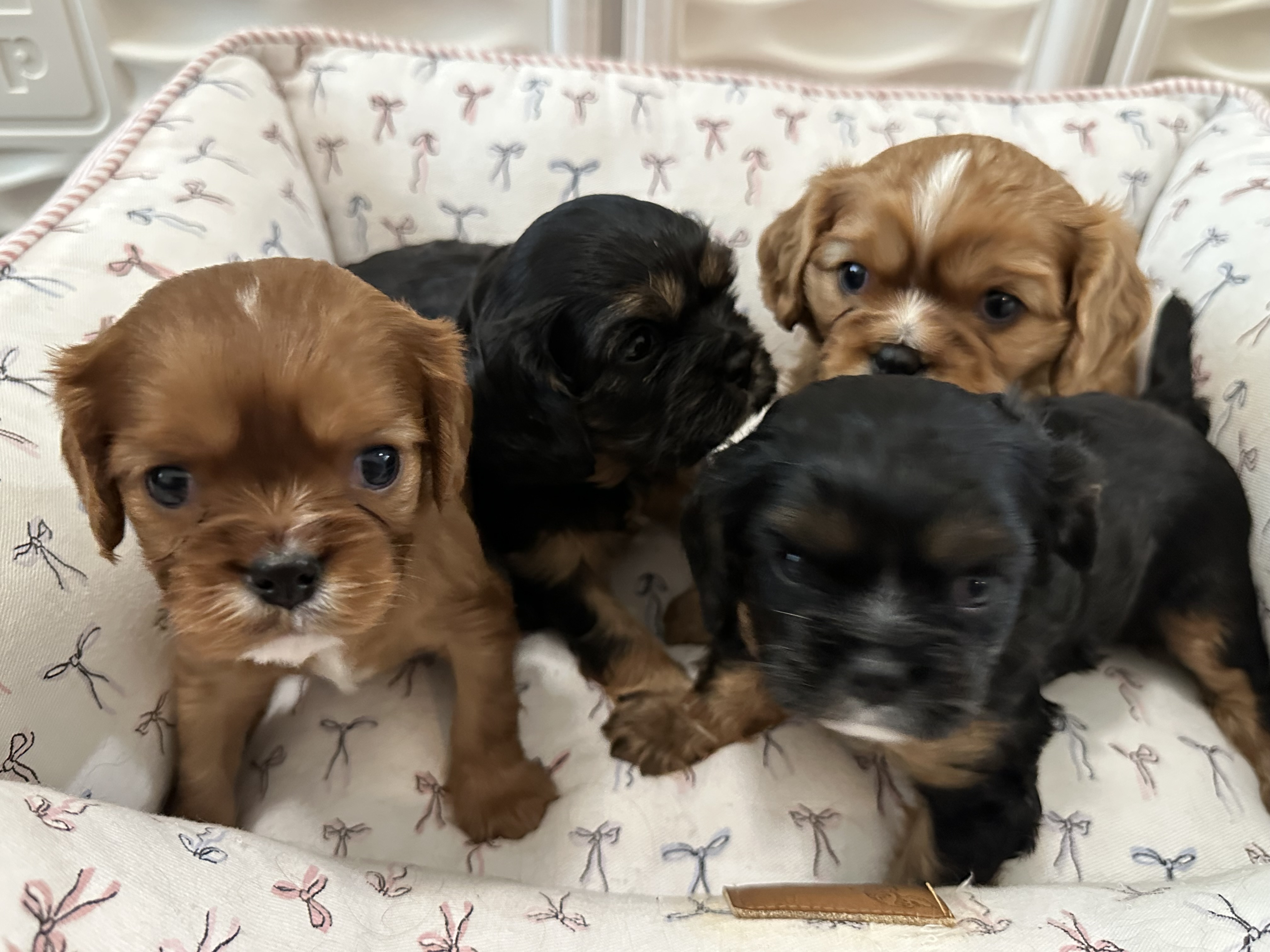 Four in a row