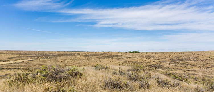 American Prairie, North-Central Montana