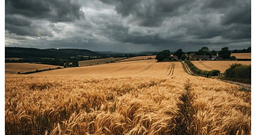 Céréales