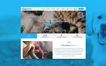 The main project image for The Housesitting Company website and systems project.