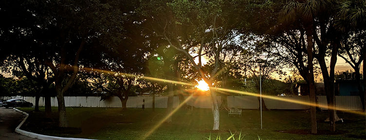 The Grounds at Sunset