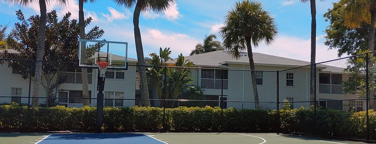 Basketball Court