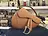 cuoio marrone / oro