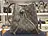Monogram Marrone