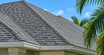 Illustrative shingle roof for roof soft washing in DeLand, FL